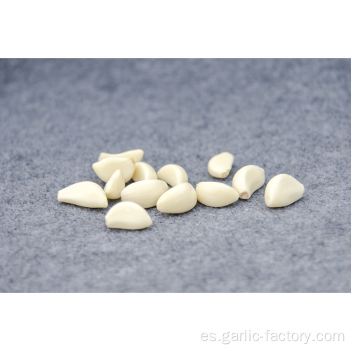 Supply Garlic New Season - precio barato